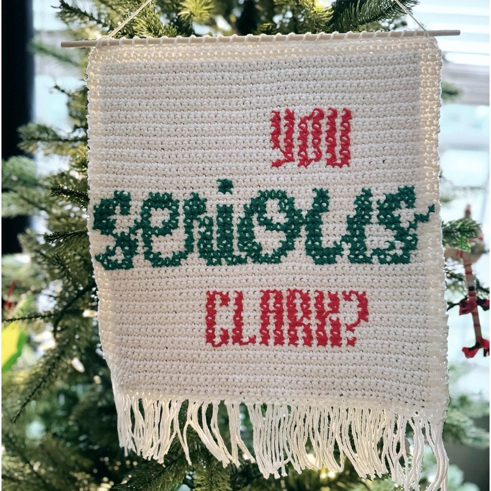 Handmade Christmas Vacation Crochet Wall Hanging, “You Serious Clark?”